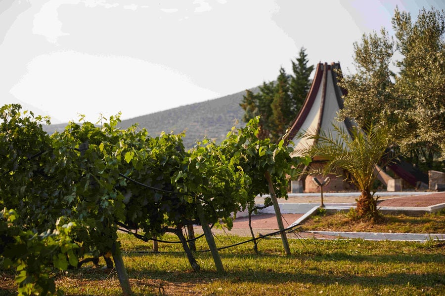 IMG_0492_Xatzimixalis (2).jpg